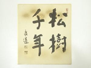 龍源寺松原泰道筆　「松寿千年」　肉筆色紙